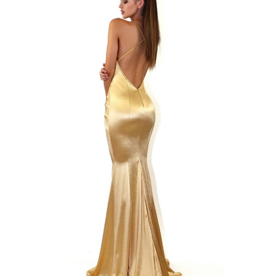Women Backless Evening Gown