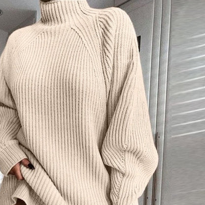Turtleneck Long Sleeve Sweater Women Loose Tunic Knitted Casual Dresses