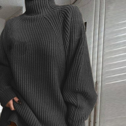 Turtleneck Long Sleeve Sweater Women Loose Tunic Knitted Casual Dresses