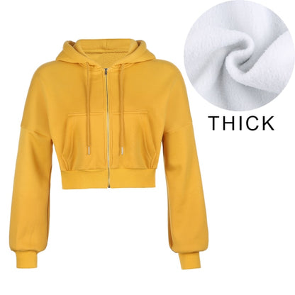 Women Solid Long Sleeve Crop Top Sweater