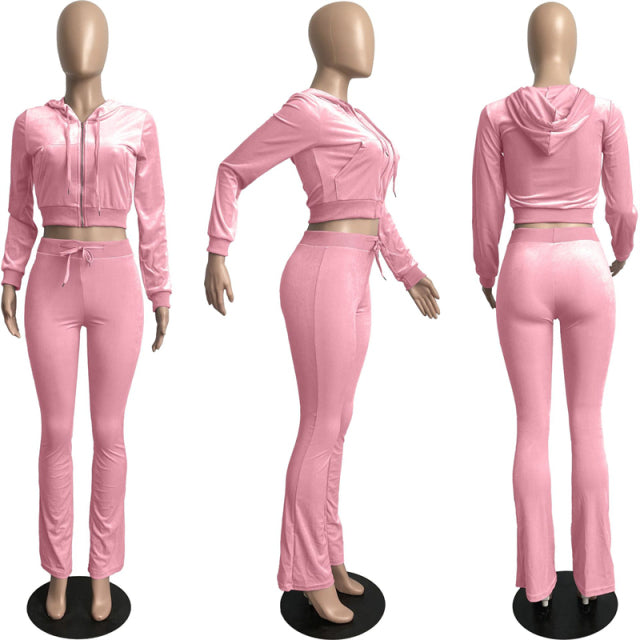 Women Solid Velvet Long Sleeve Hooded Tracksuit Set