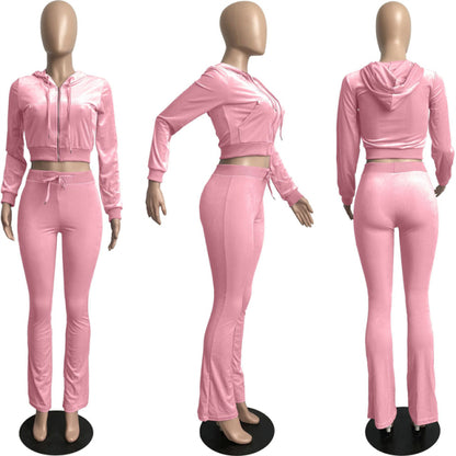 Women Solid Velvet Long Sleeve Hooded Tracksuit Set