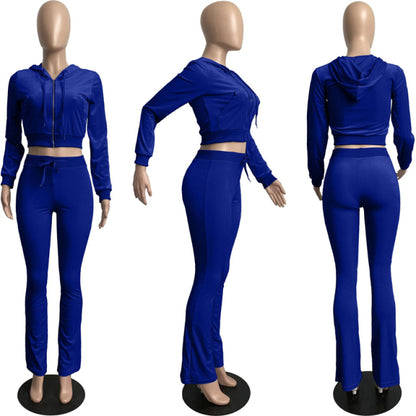 Women Solid Velvet Long Sleeve Hooded Tracksuit Set