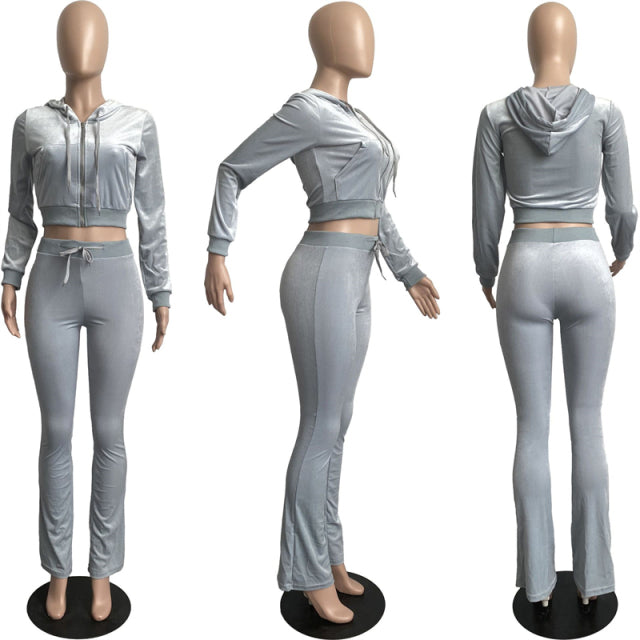 Women Solid Velvet Long Sleeve Hooded Tracksuit Set