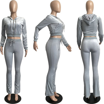 Women Solid Velvet Long Sleeve Hooded Tracksuit Set