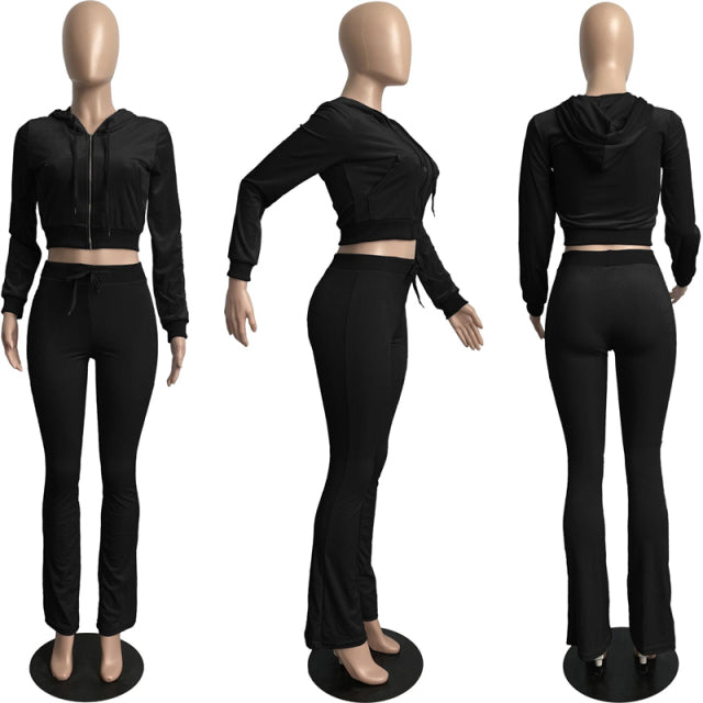 Women Solid Velvet Long Sleeve Hooded Tracksuit Set