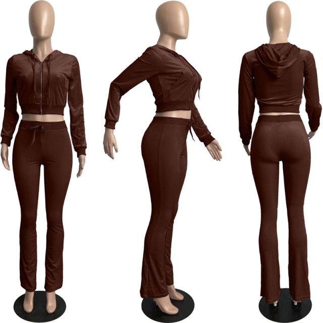 Women Solid Velvet Long Sleeve Hooded Tracksuit Set