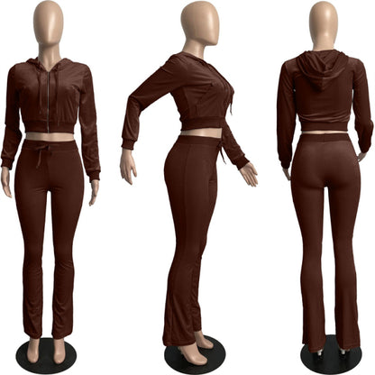 Women Solid Velvet Long Sleeve Hooded Tracksuit Set