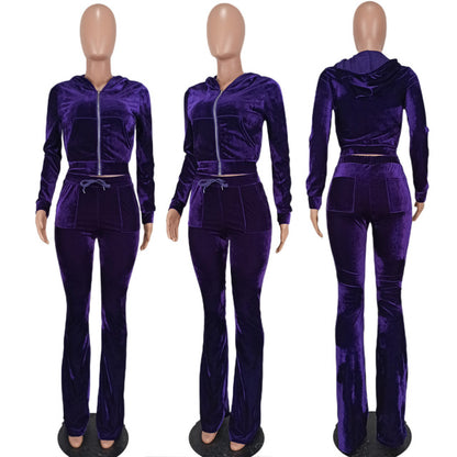Women Solid Velvet Long Sleeve Hooded Tracksuit Set